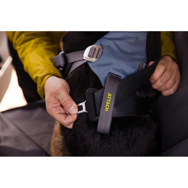 Ruffwear Load Up™ Dog Car Harness in Slate Blue