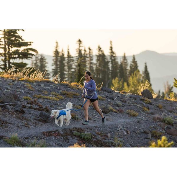 Ruffwear Trail Runner™ Belt in Blue Pool