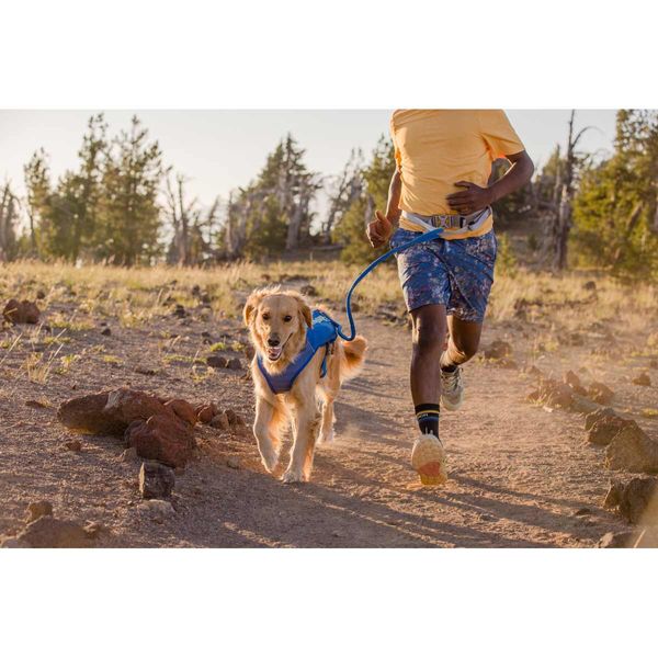 Ruffwear Trail Runner™ Belt in Blue Pool