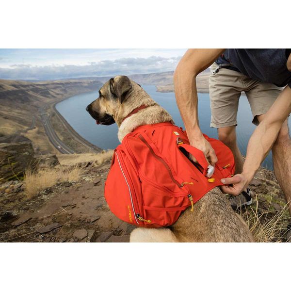 Ruffwear Palisades™ Dog Backpack in Red Sumac