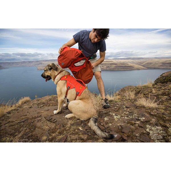 Ruffwear Palisades™ Dog Backpack in Red Sumac