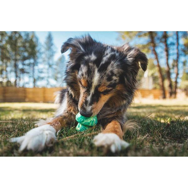 Ruffwear Toadstool™ Dog Toy In Moss Green